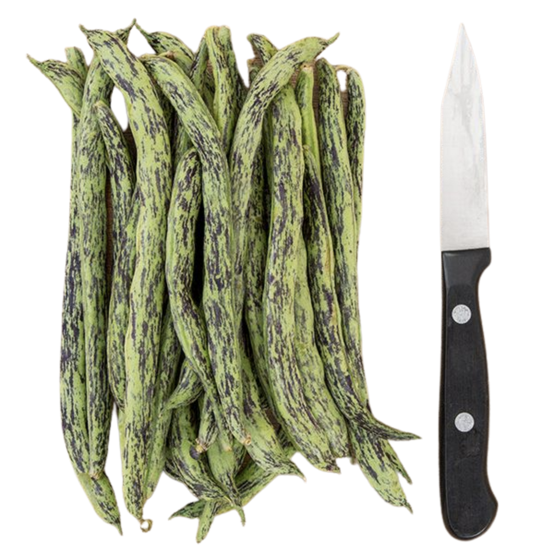 Rattlesnake Pole Bean: 1 ounce