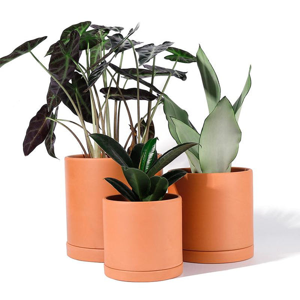 cylinder terracotta plant pots Terracotta Cylinder Planter – Golden Hour Gift Co