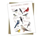 Backyard Birds of Vermont Greeting Card