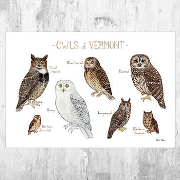 Owls of Vermont 13x19 Print
